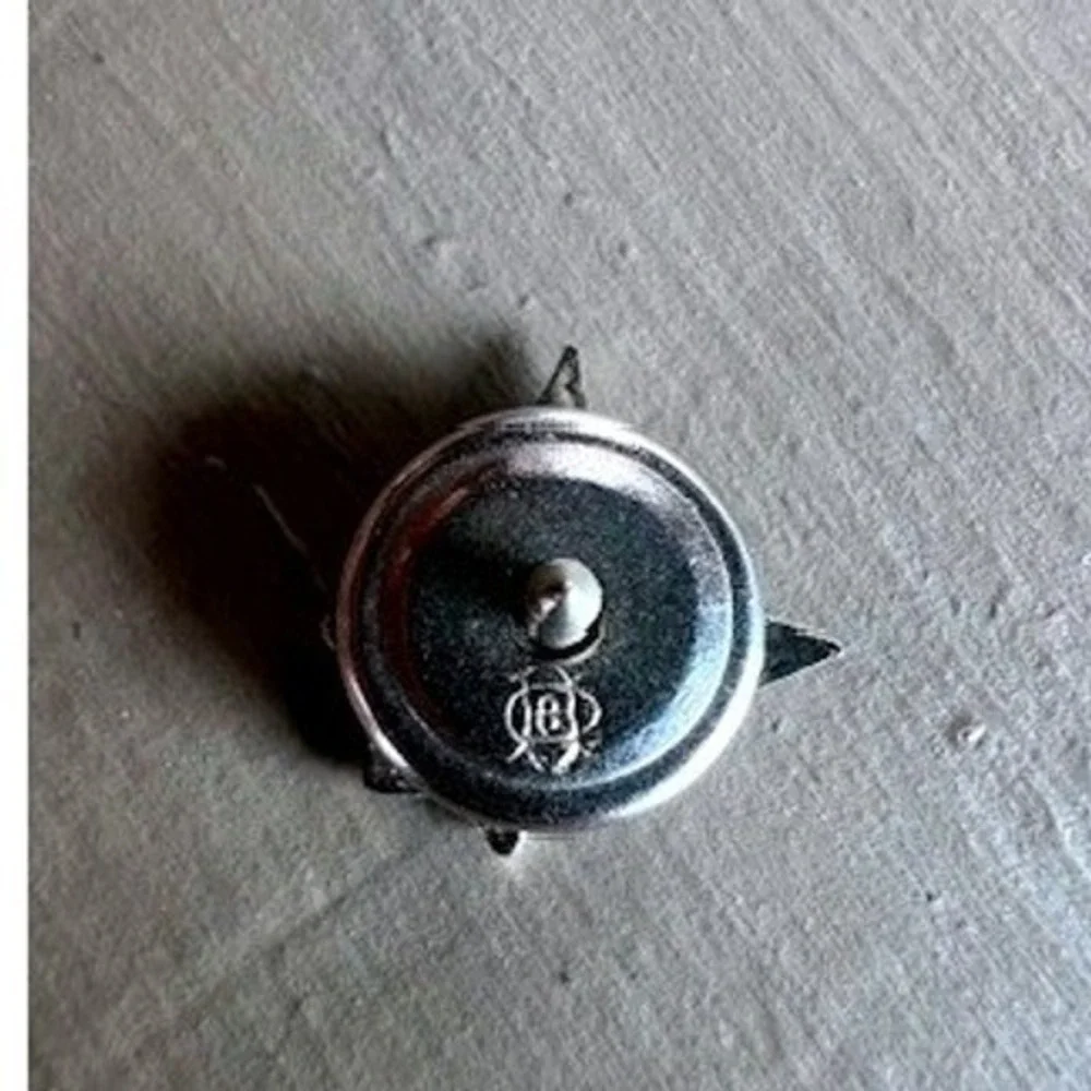 Fraternal Order of Eagles FOE Lapel Pin Silver Eagle Enamel Screwback Vintage